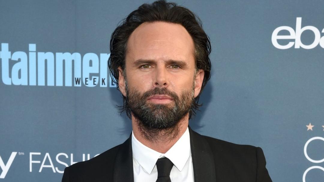 Amazon의 Fallout TV 시리즈, Walton Goggins 캐스팅